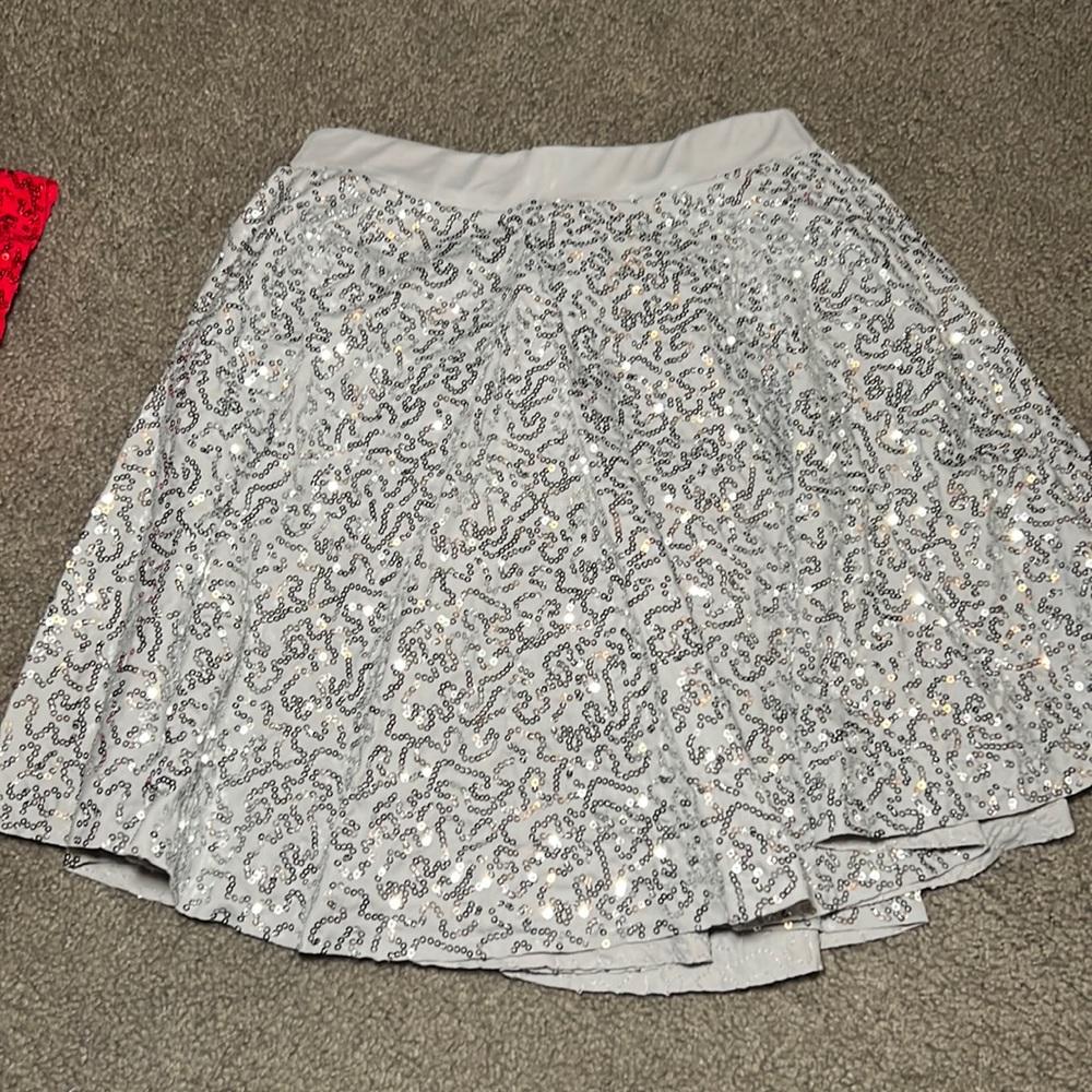 Silver sequin dance skirt
